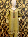 Abeeha embroidery 2 pc