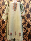 Abeeha embroidery 2 pc