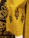 Abeeha embroidery 2 pc